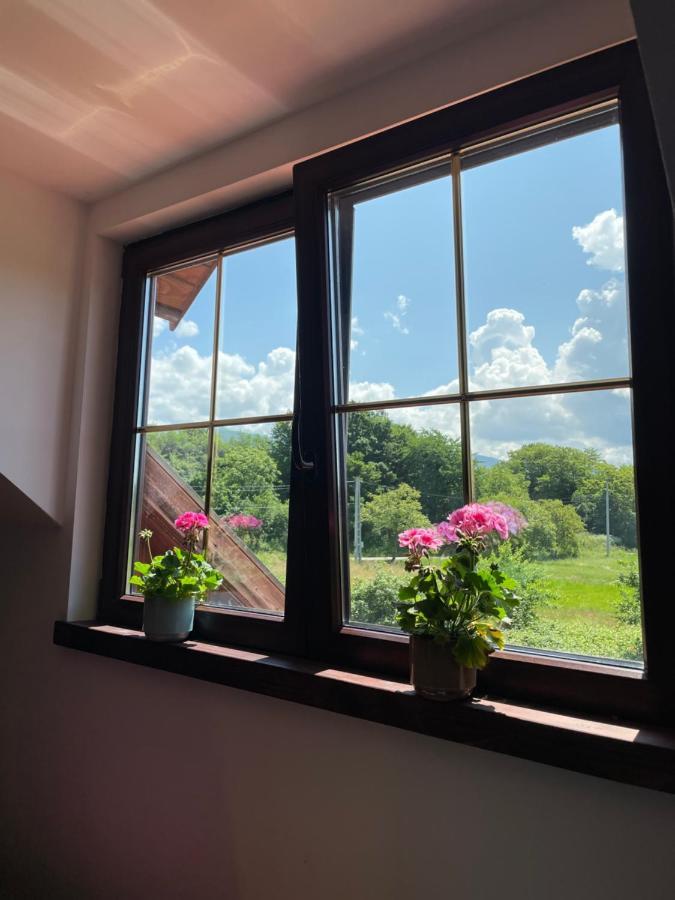 Отель Casa La Doi Nuci Bradet  Экстерьер фото
